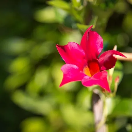 La Meridiana 3* البندقية-ليدو