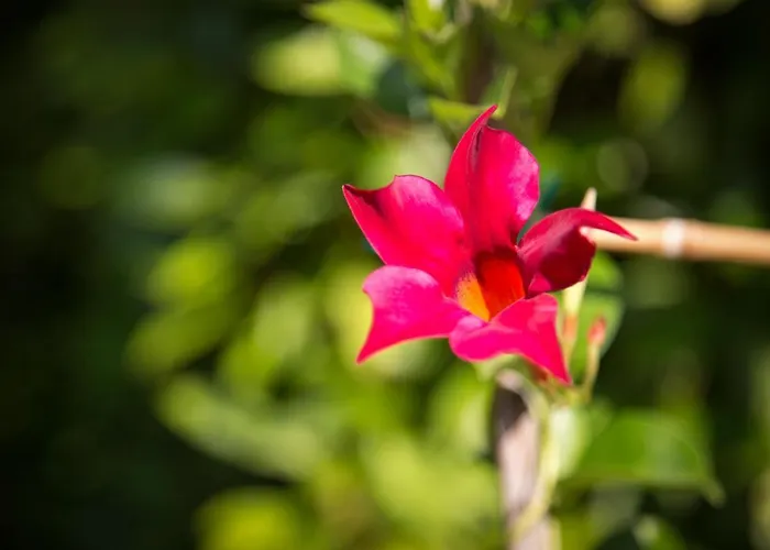 La Meridiana 3* Venedigs Lido